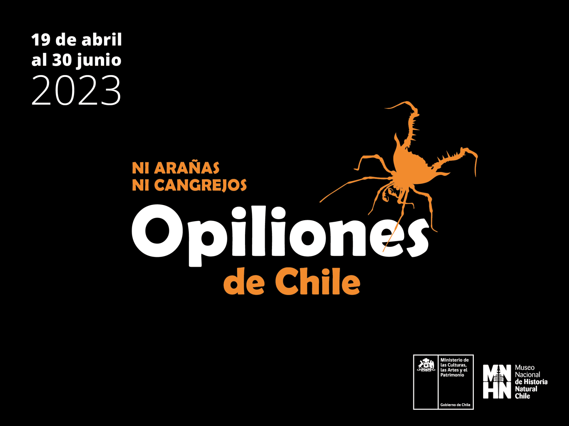 Opiliones de Chile 