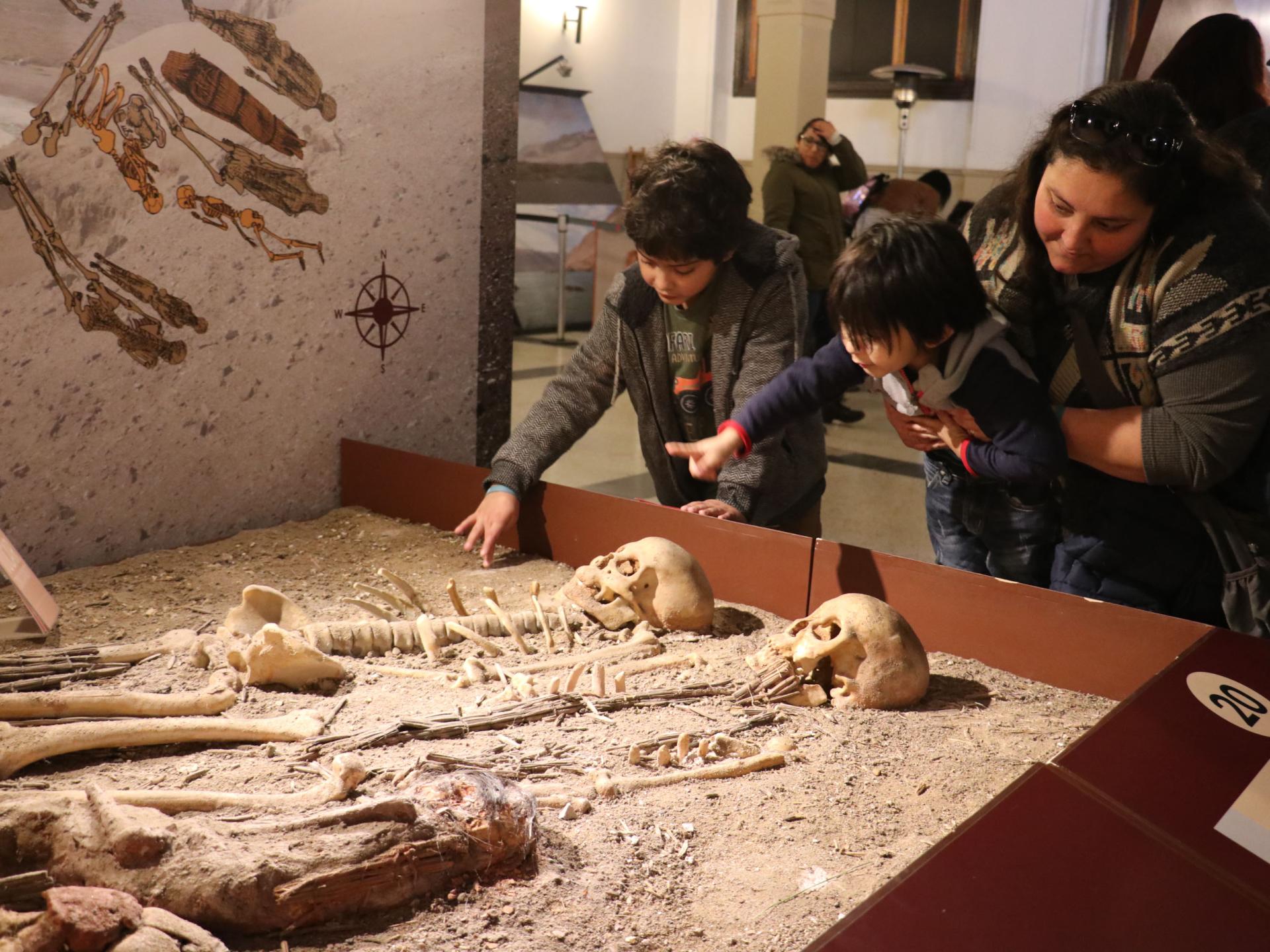 Visitantes a la exposición «Chinchorro, trascender a la muerte» en el MNHN.