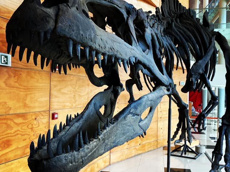Dinosaurios