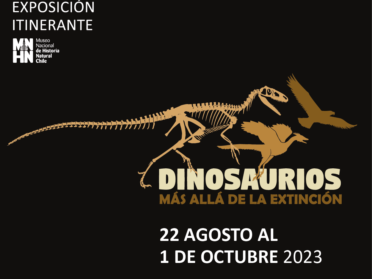 Dinos en el MNHN