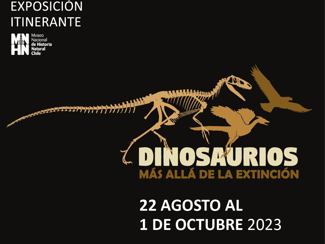 Dinos en el MNHN 