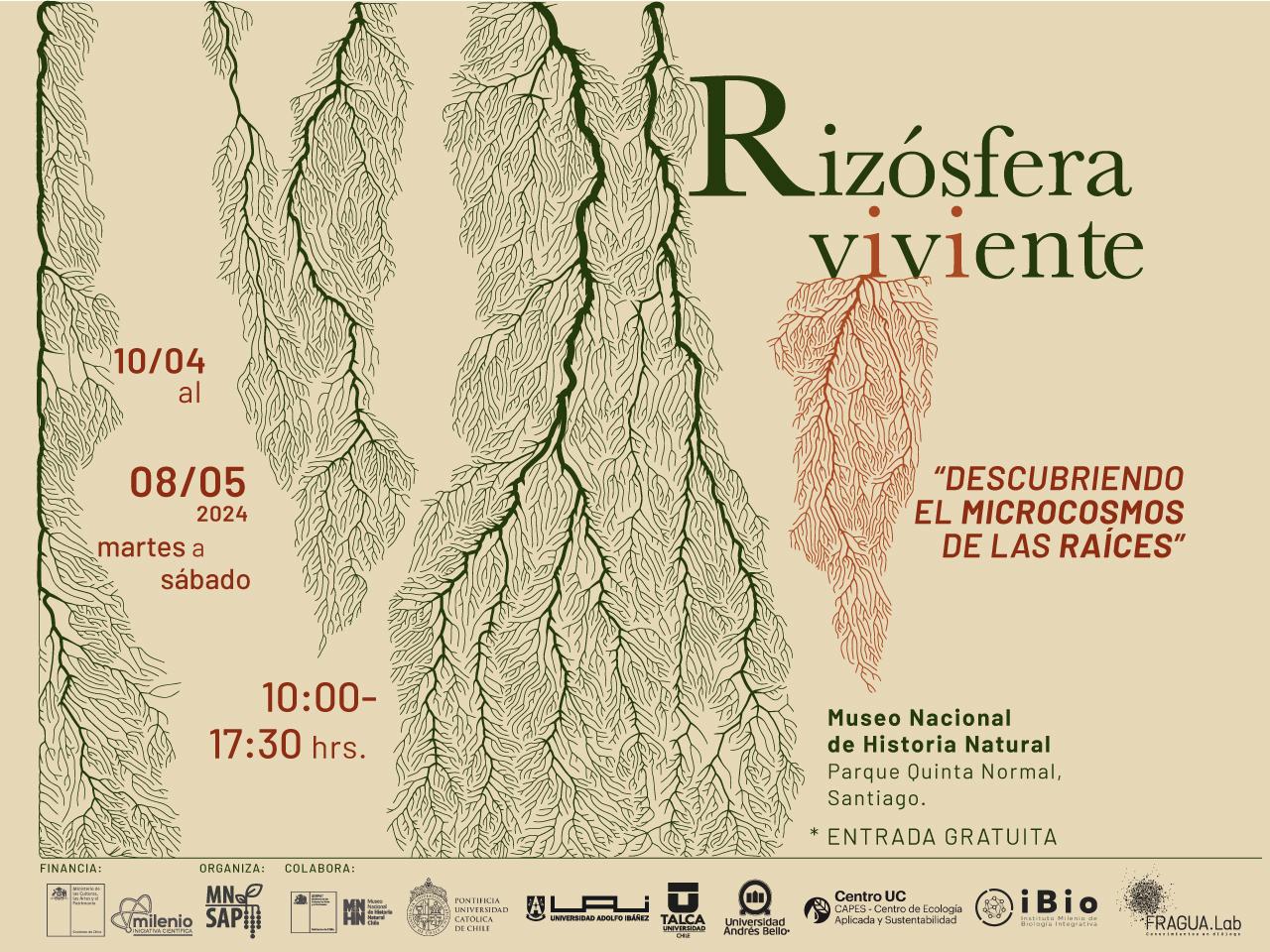 Rizosfera viviente