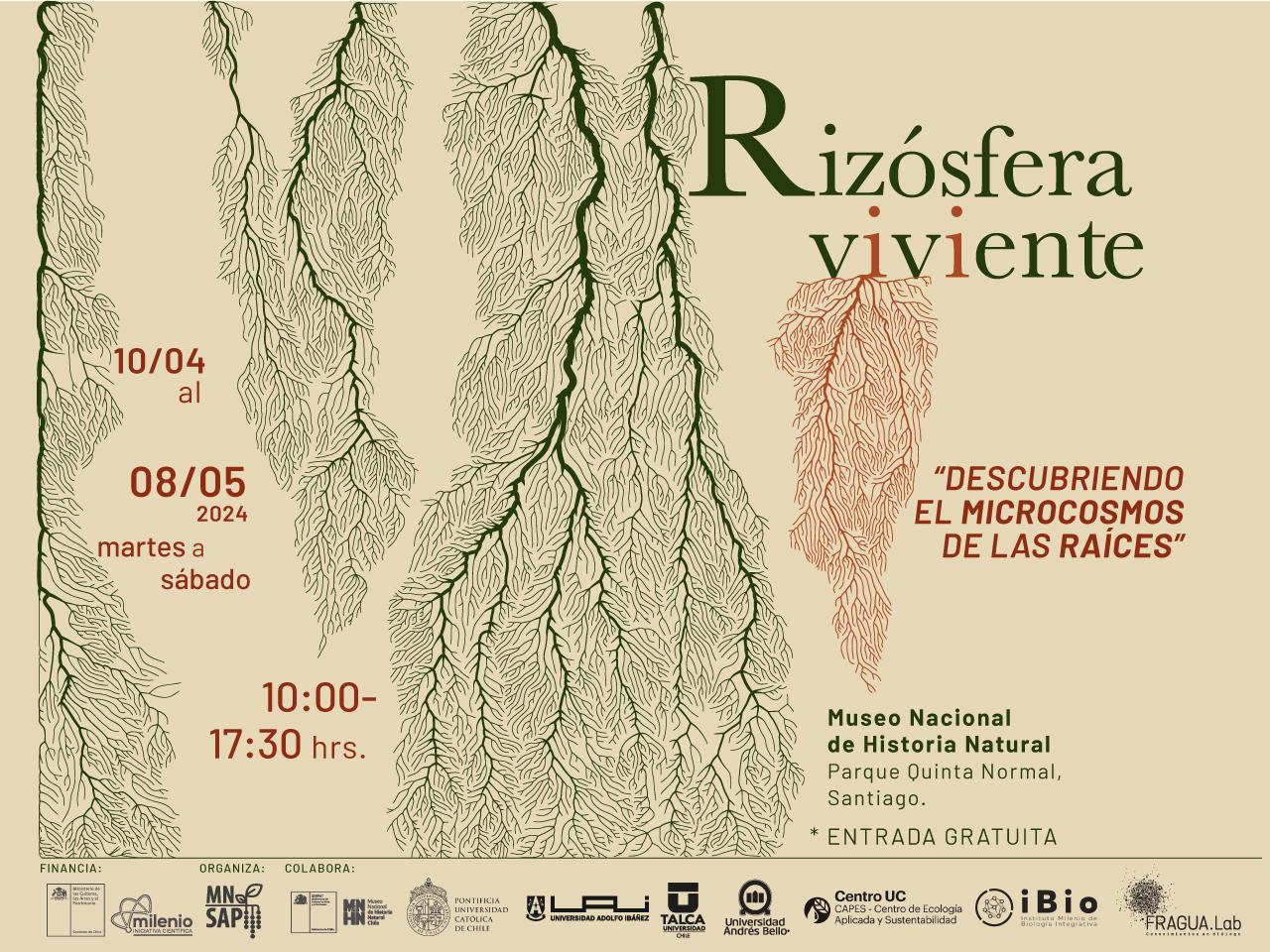 Rizosfera viviente 