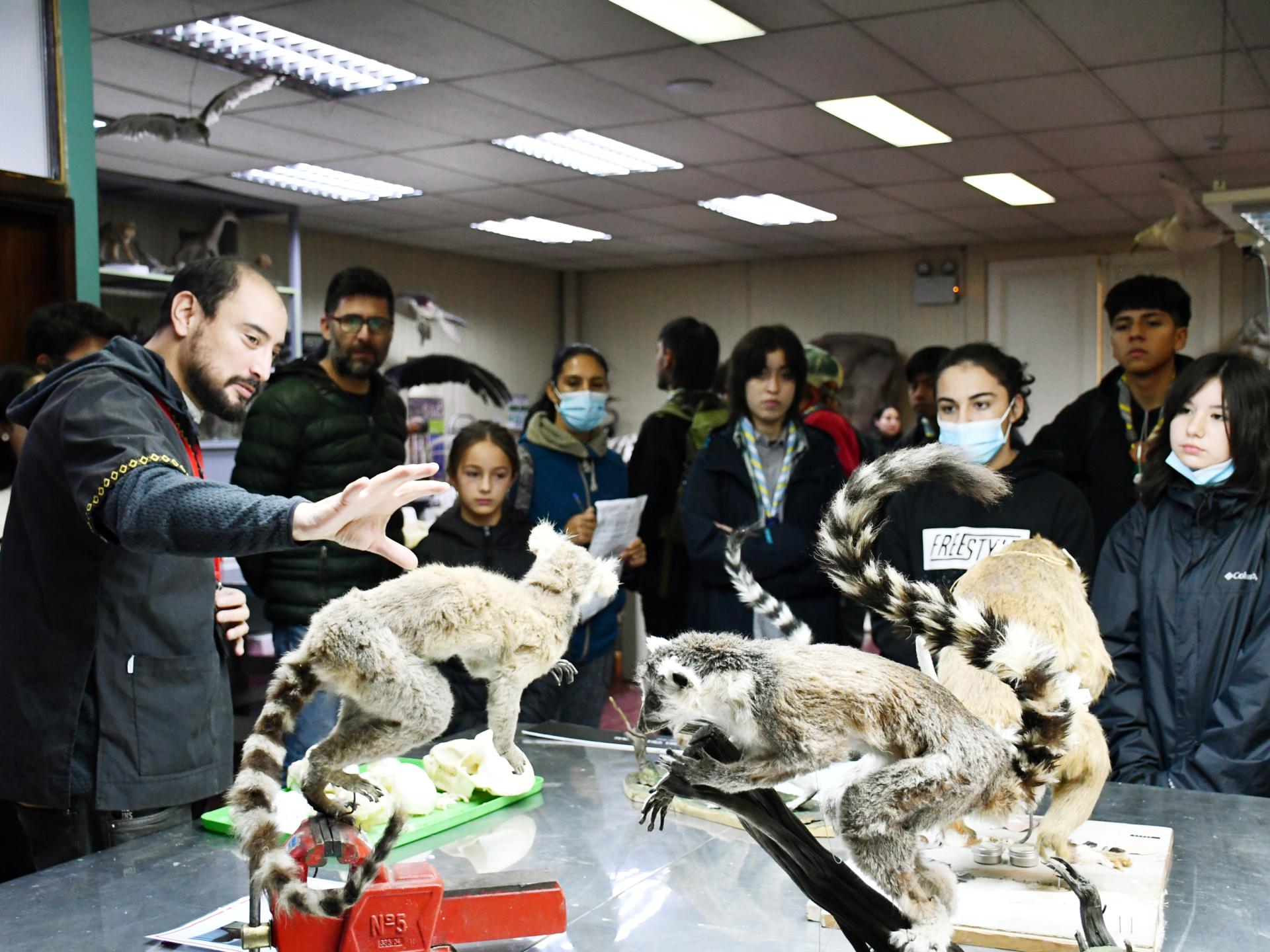 Taller El Museo en tus manos