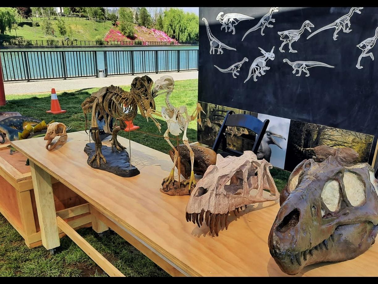 Fósiles y dinosaurios, su pasado y presente