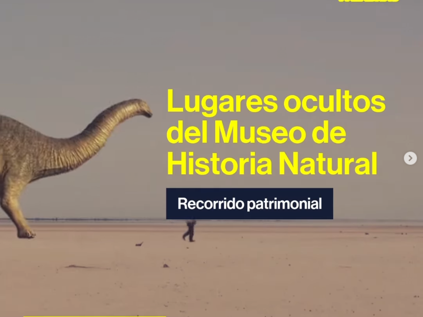 Santiago en 100 palabras 