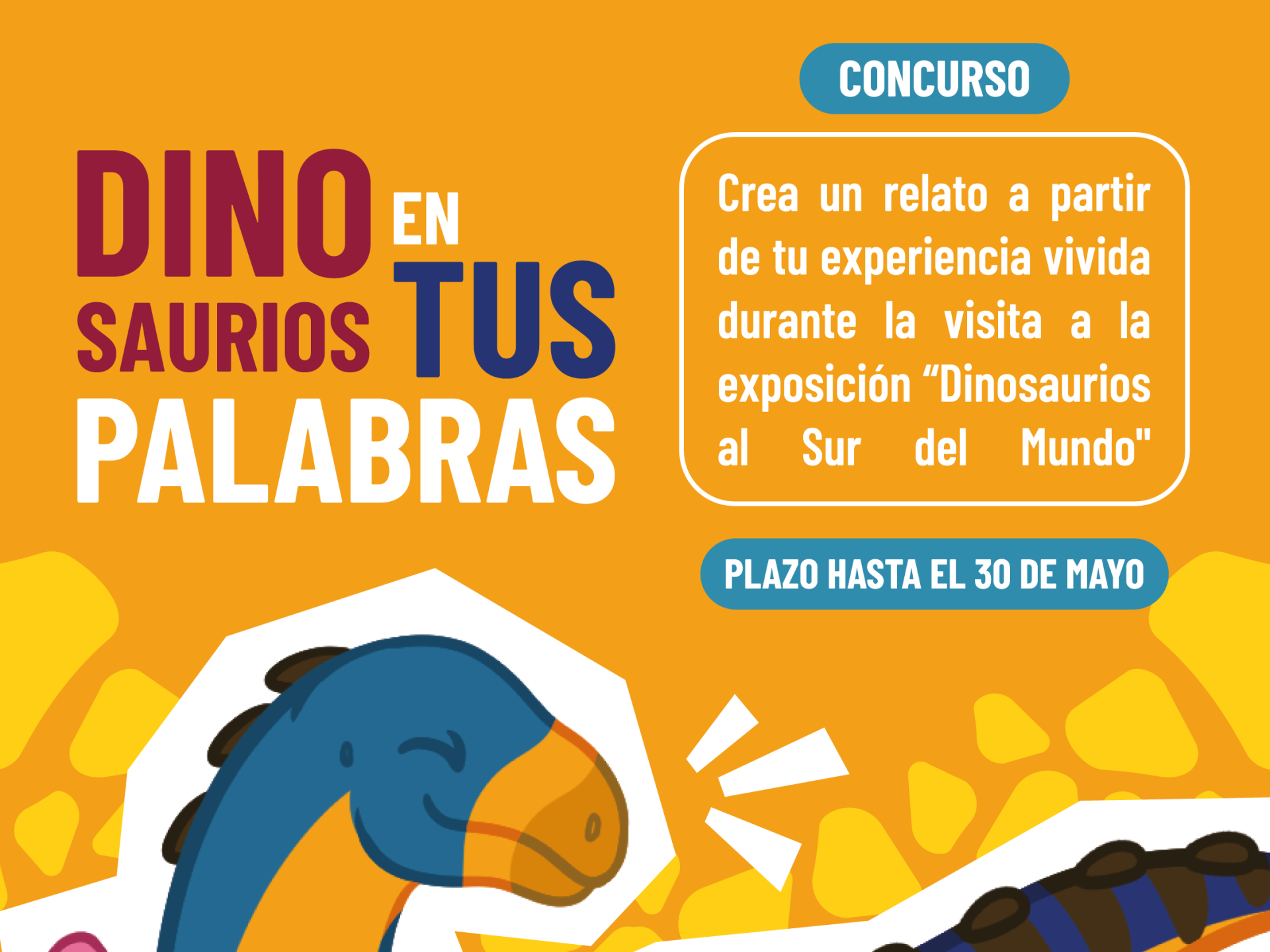 Concurso