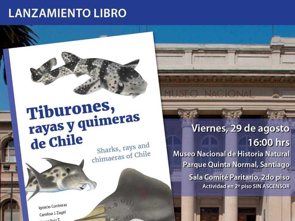 Tiburones