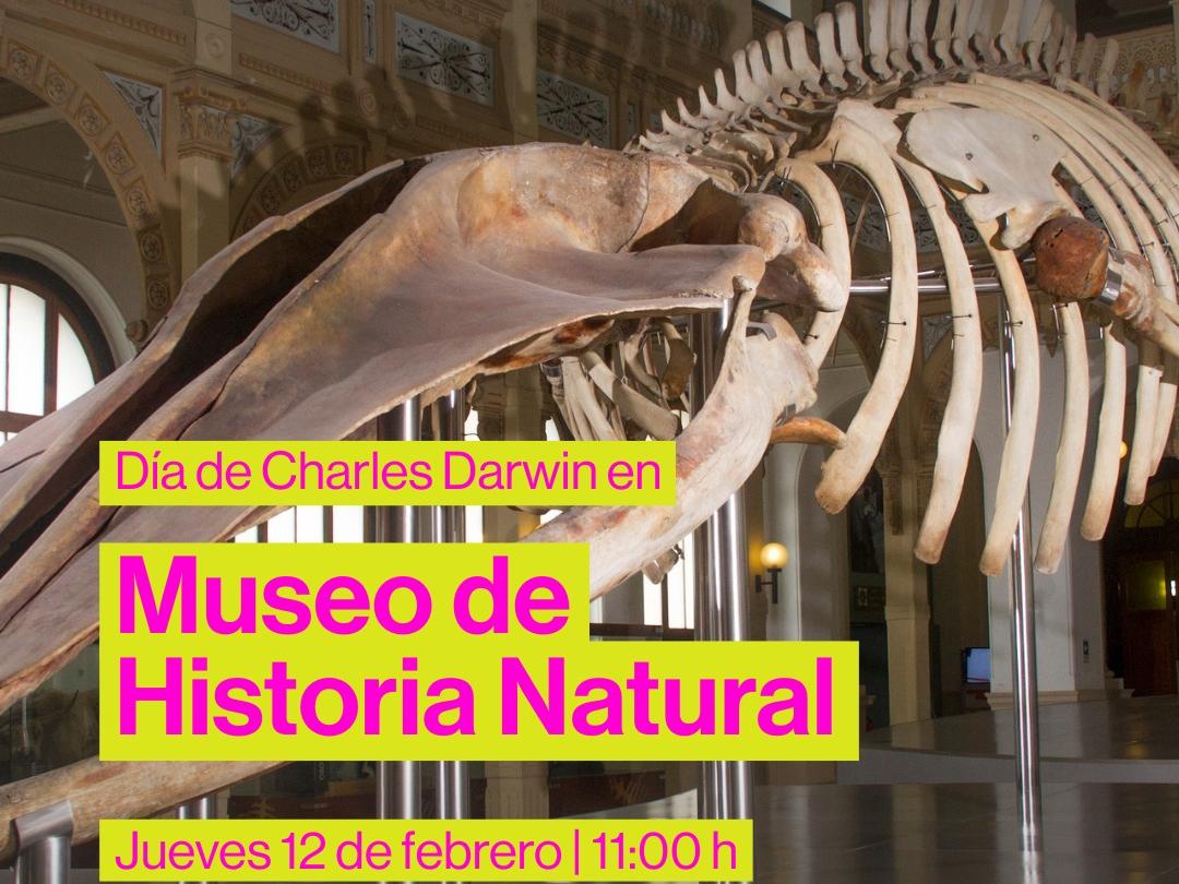 Día de Darwin 