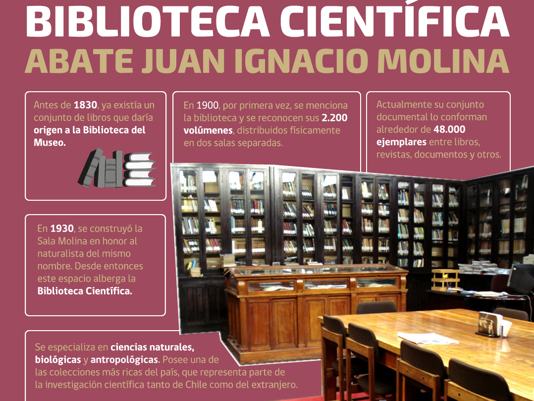 Biblioteca 
