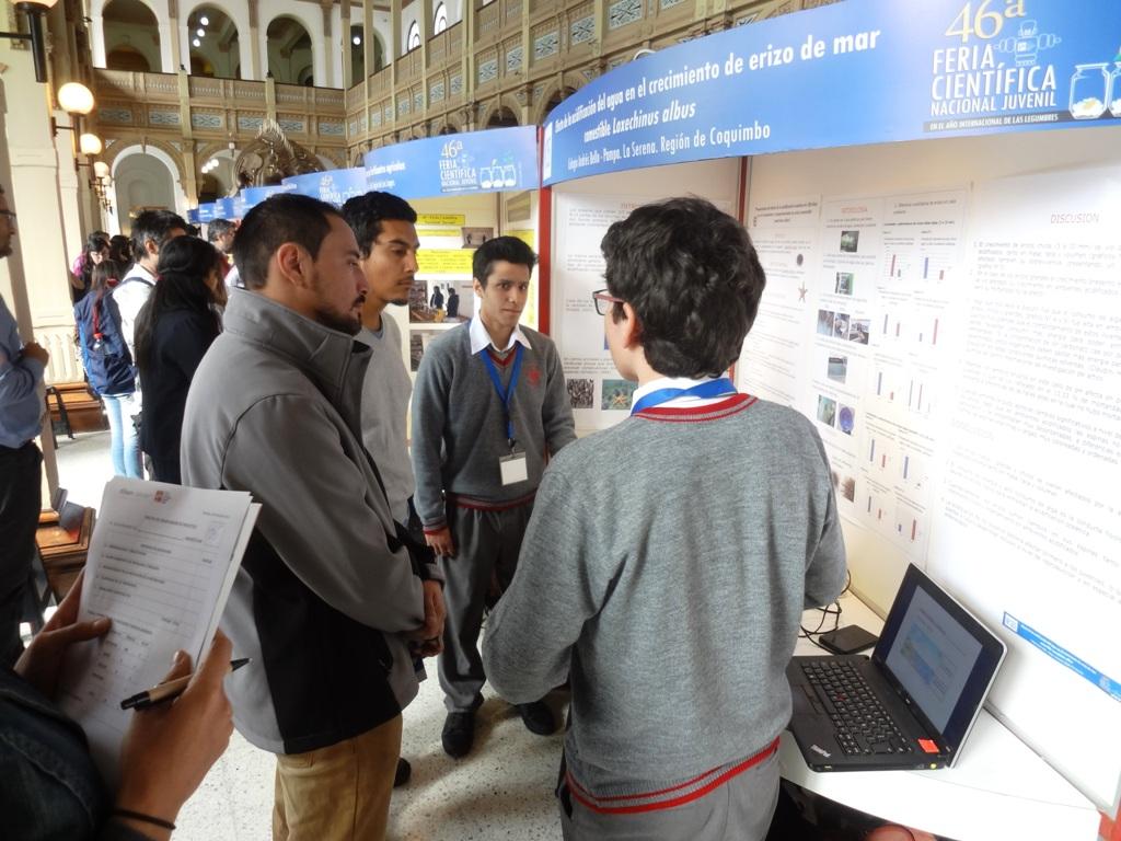 Los alumnos muestran sus proyectos.