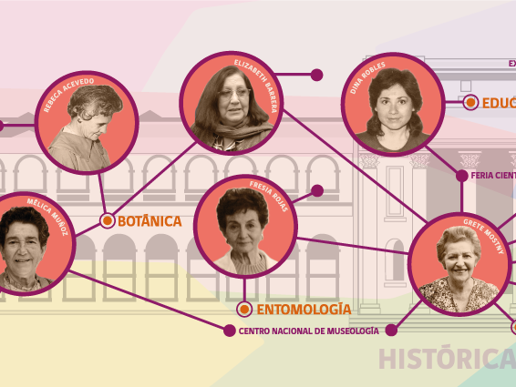 Serie Históricas 00