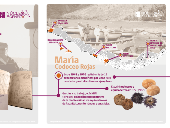 Serie Históricas María Codoceo