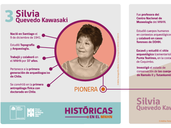 Serie Históricas Silvia Quevedo