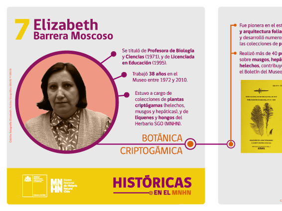 Serie Históricas Elizabeth Barrera