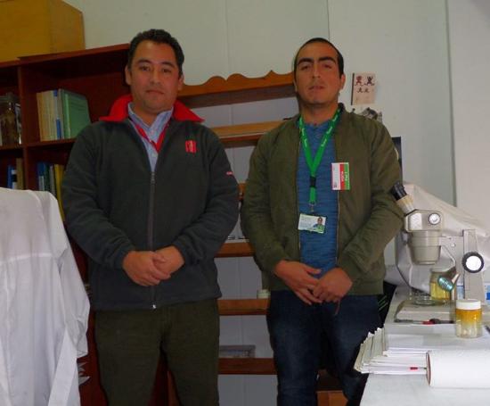 Jorge Pérez-Schultheiss y Carlos Oyarzún Segovia en Zoología de Invertebrados del MNHN.
