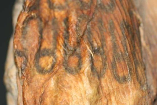 Tatuaje en una mano de momia del Norte de Chile Tatuaje en una mano de momia del Norte de Chile. (Imagen: Mercedes González, Museo de las Momias de Quinto (Zaragoza, España)