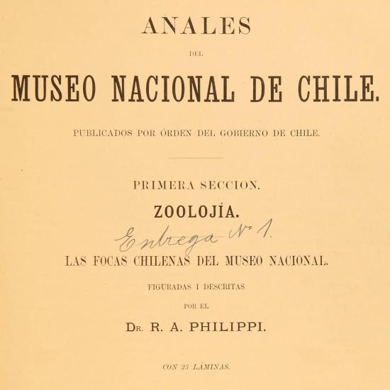Anales MNHN, focas, 1892