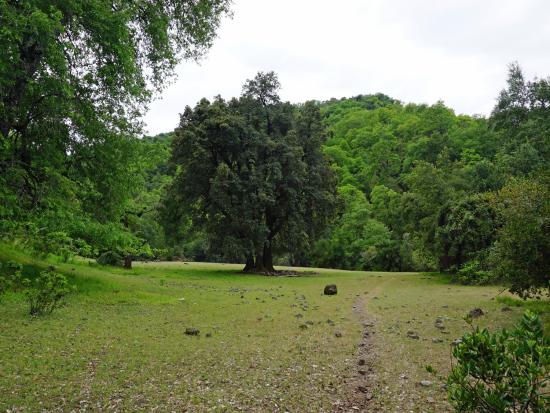 Monte Oscuro, Curicó, localidad tipo de Kurimawida sepulvedai.