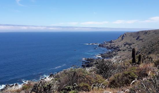 Vista de la pendiente occidental de los cerros del Parque Nacional Bosque de Fray Jorge, mostrando la costa marina, donde se recolectaron algunas de las especies nativas.