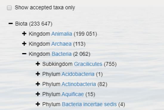 El Registro Mundial de Especies Marinas (WORMS) es una base de datos que se considera referencia taxonómica para muchos grupos de organismos.