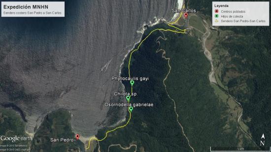 Fotografía satelital mostrando el sendero recorrido (en amarillo), y los puntos donde se realizaron las observaciones (en verde).