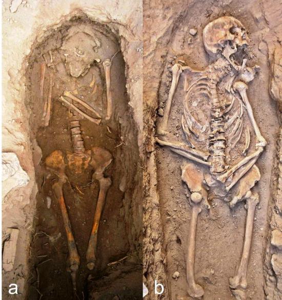 Imagen del artículo «Bioarqueología en Iglesia de Huaviña 39»