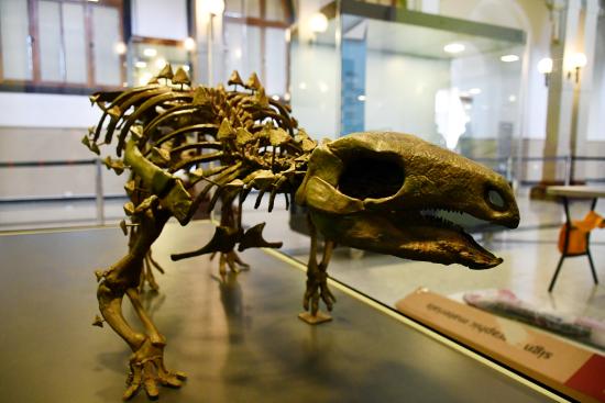 Exposición «Ciencia y Arte, el Papel de los Dinosaurios», Museo Nacional de Historia Natural