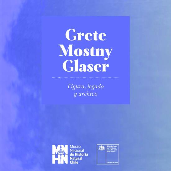 Grete Mostny Glaser. Figura, legado y archivo