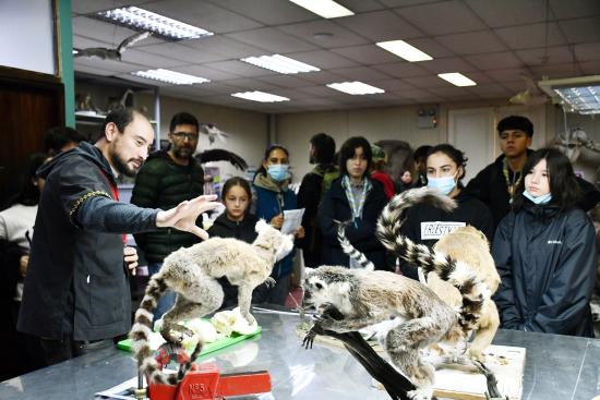 Diego Jara en el Taller de Taxidermia del MNHN