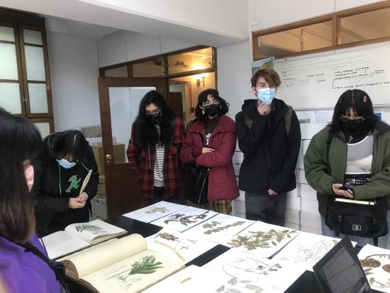 Estudiantes visitando el Área de Botánica del MNHN.