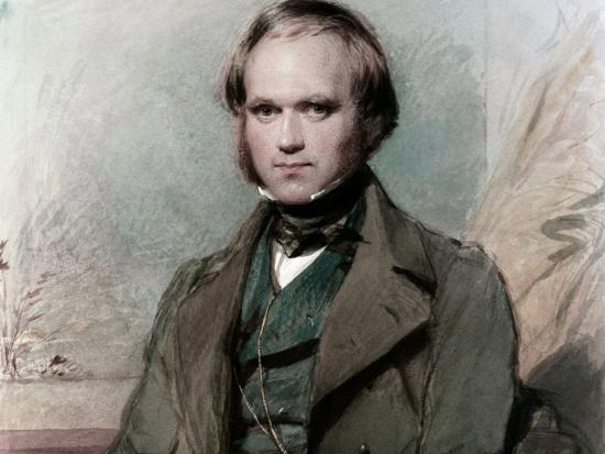 Retrato de Charles Darwin en su juventud, 1809.