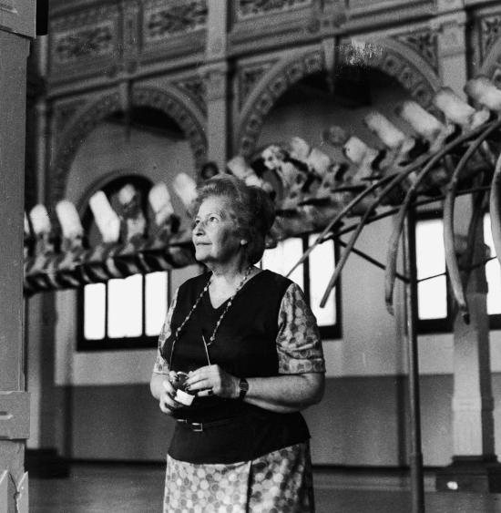 Grete Mostny en el MNHN (Imagen: El Mercurio)