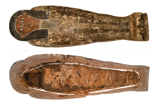 Sarcófago y cuerpo de Panubis del Museo Nacional de Historia Natural, Fotografía de Camila Maripangui. 