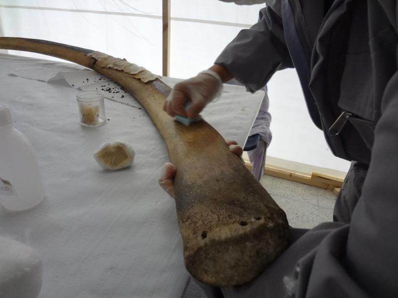 Limpieza 2 Limpieza 2