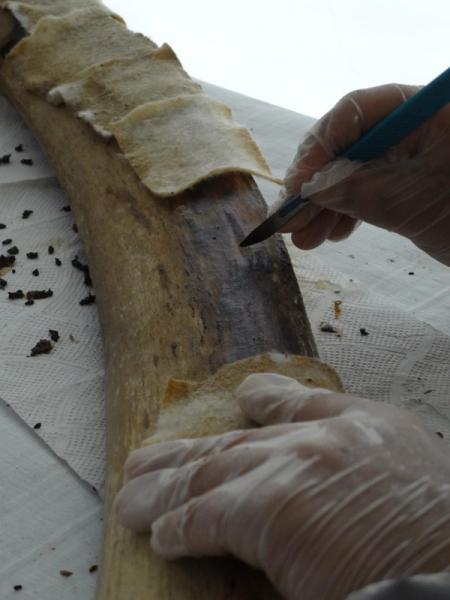 Limpieza 3 Limpieza 3