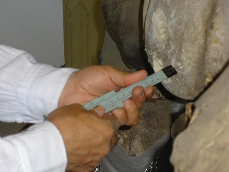 Limpieza 4 Limpieza 4