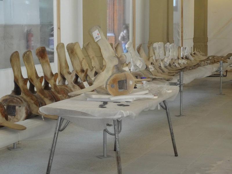 Preparación montaje Preparación montaje