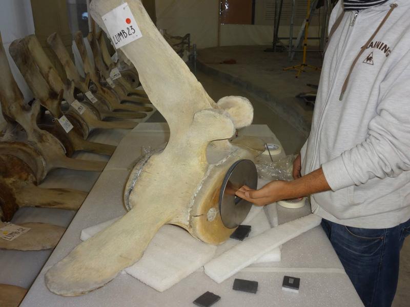 Preparación montaje 2 Preparación montaje 2