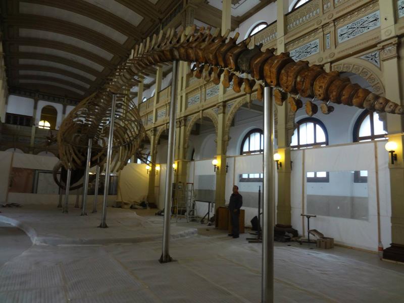 Montaje 11 Montaje 11