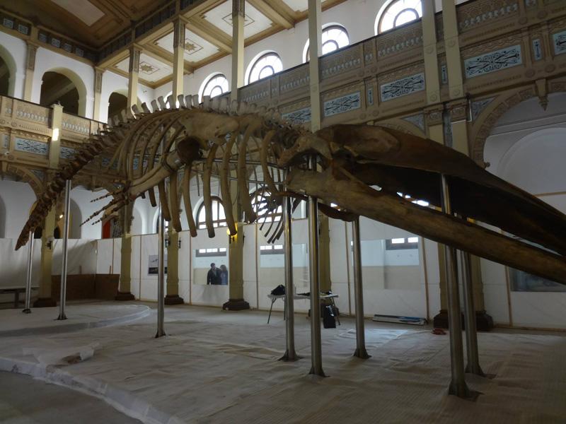 Montaje 12 Montaje 12