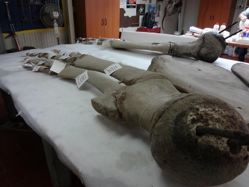 Aletas desmontadas Aletas desmontadas