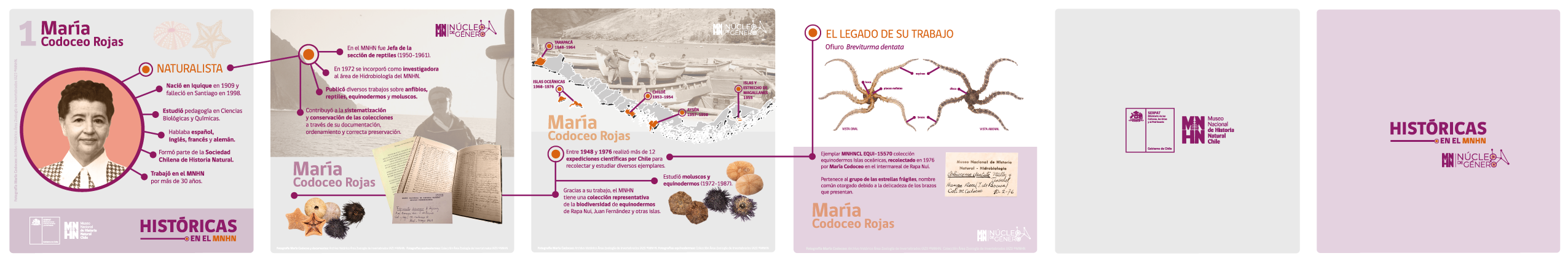Serie Históricas María Codoceo Serie Históricas María Codoceo