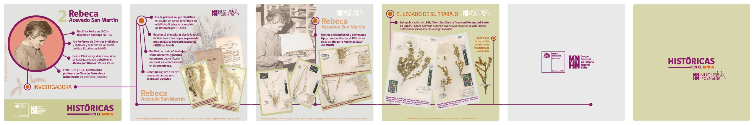 Serie Históricas Rebeca Acevedo Serie Históricas Rebeca Acevedo