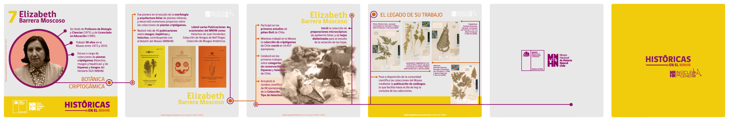 Serie Históricas Elizabeth Barrera Serie Históricas Elizabeth Barrera