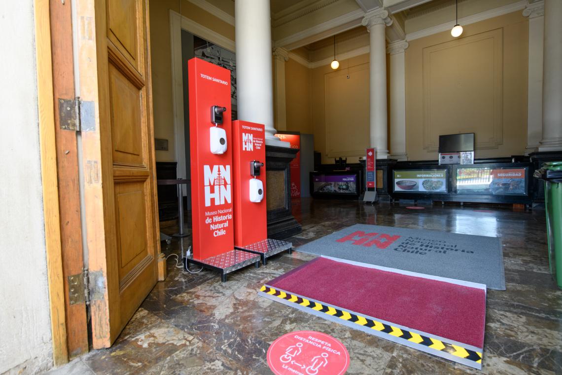 Todas las medidas de seguridad están listas en el MNHN para reencontrarse con su público. Todas las medidas de seguridad están listas en el MNHN para reencontrarse con su público.
