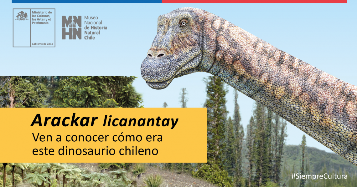 Afiche arackar Afiche arackar