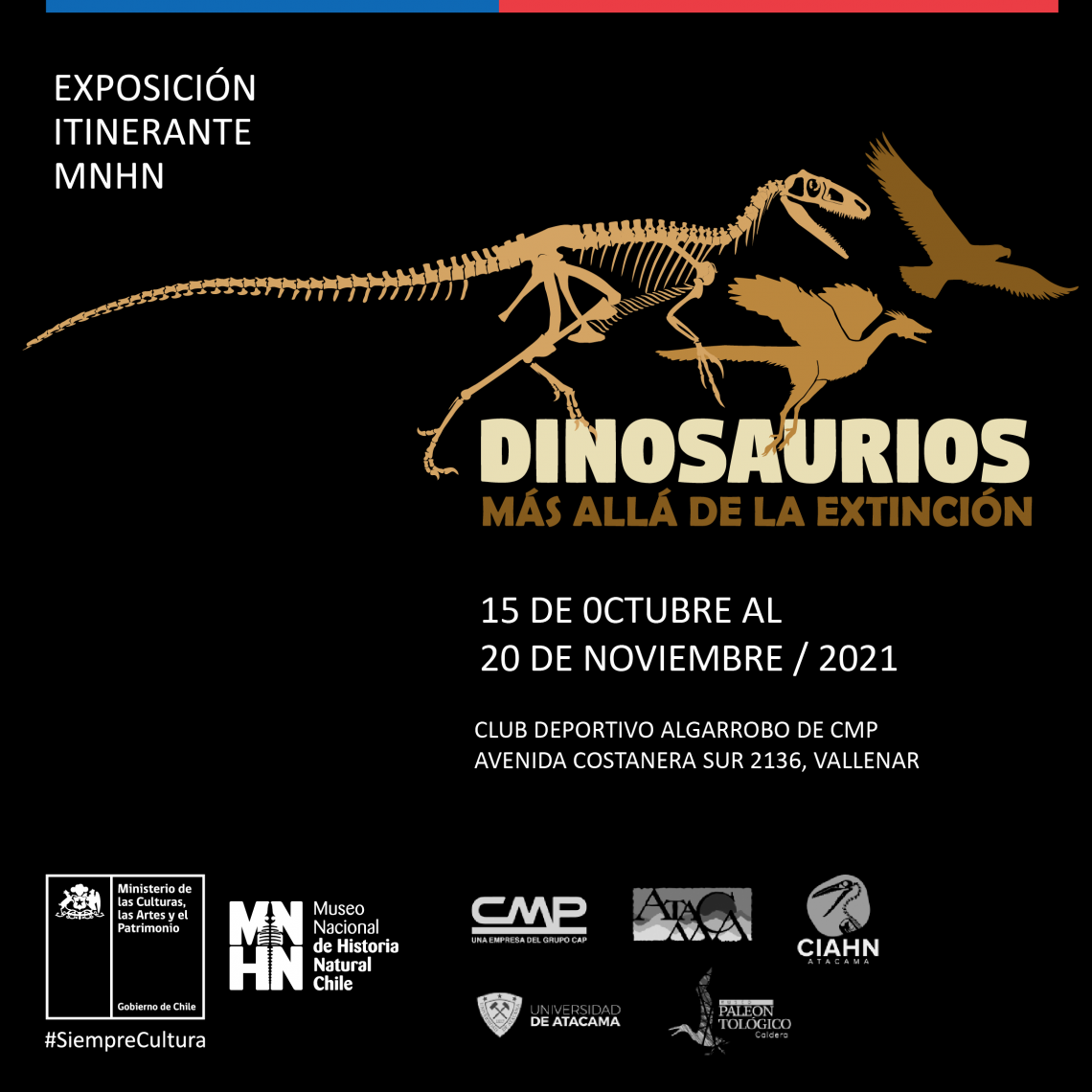 dinos dinos