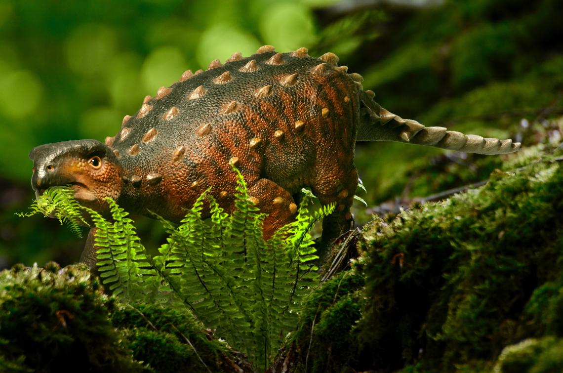 Reconstrucción artística de la apariencia en vida de la nueva especie Stegouros elengassen. Imagen del Paleoartista Lucas Jaymez, @dinoesculturas Stegouros