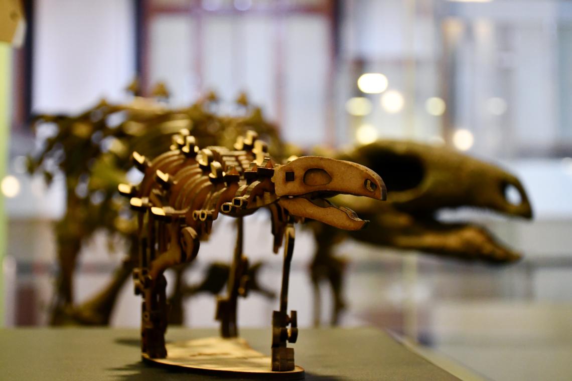 Exposición «Ciencia y Arte, el Papel de los Dinosaurios», Museo Nacional de Historia Natural Exposición «Ciencia y Arte, el Papel de los Dinosaurios», Museo Nacional de Historia Natural